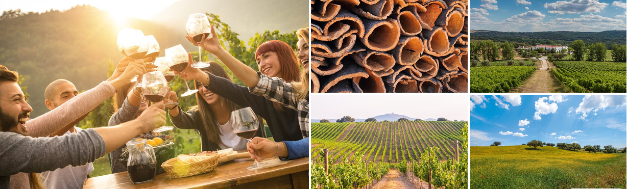 Cork, vineyards and countryside experiences in Portugal's Alentejo region