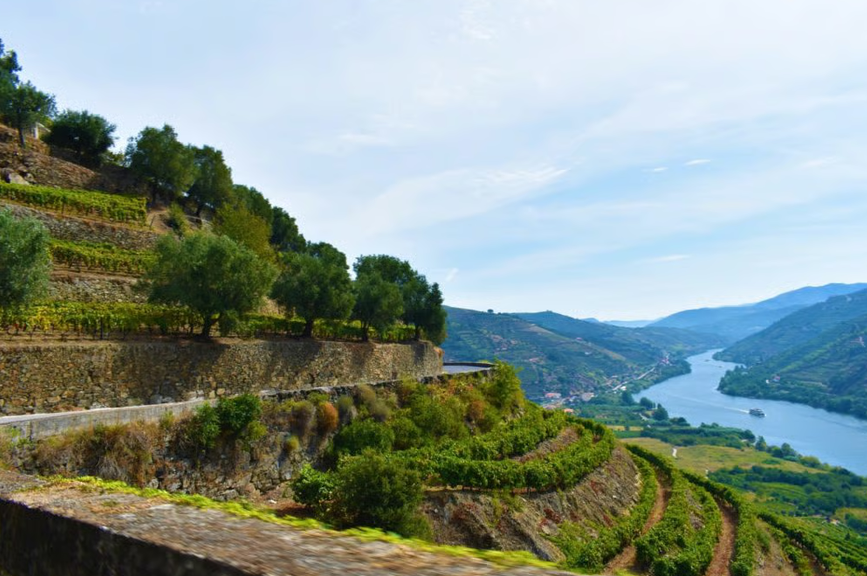 The scenic Douro Valley